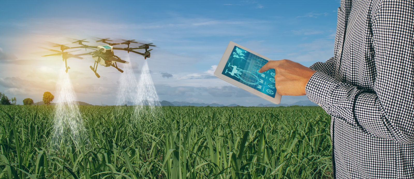 Lanature. Фитнес трекинг. Энергичный человек. Fields health. Зеленый газон.